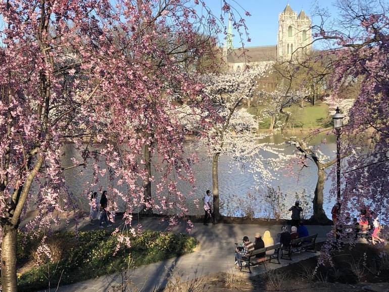Annual Cherry Blossom Festival Returns to Newark This April With Series
